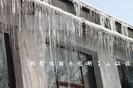 招行信用卡逾期了上征信吗 招行信用卡逾期了上征信吗