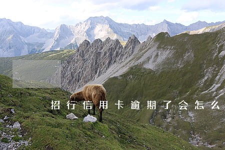 招行信用卡逾期了会怎么样