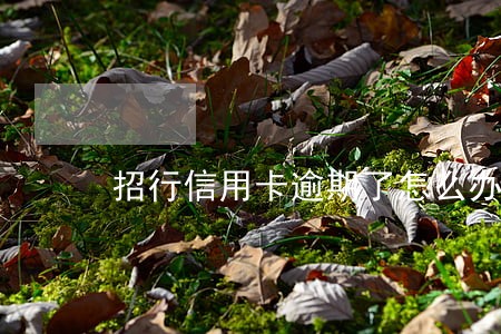 招行信用卡逾期了怎么办 招行信用卡逾期了怎么办