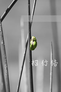 招行信用卡逾期了有什么后果 招行信用卡逾期了有什么后果