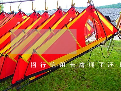 招行信用卡逾期了还上还能用吗