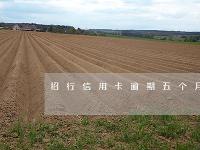 招行信用卡逾期五个月六万 招行信用卡逾期五个月六万
