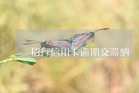 招行信用卡逾期交滞纳