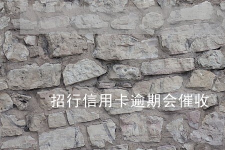 招行信用卡逾期会催收