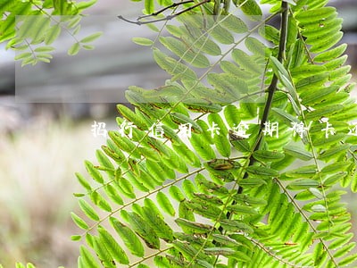 招行信用卡逾期停卡还上之后 招行信用卡逾期停卡还上之后