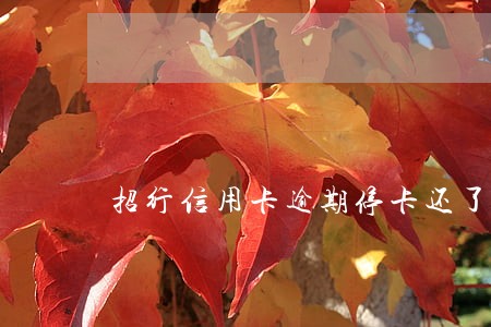 招行信用卡逾期停卡还了一部分