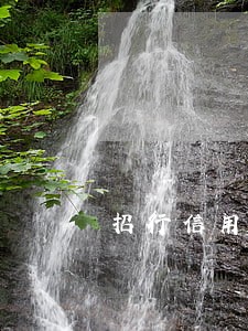 招行信用卡逾期停息分期 招行信用卡逾期停息分期