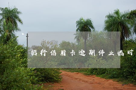 招行信用卡逾期停止临时额度 招行信用卡逾期停止临时额度