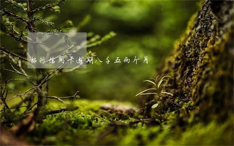 招行信用卡逾期八千五两个月