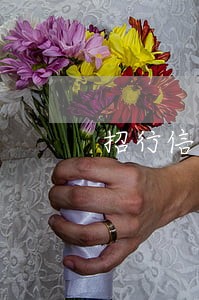 招行信用卡逾期冻结成功解冻