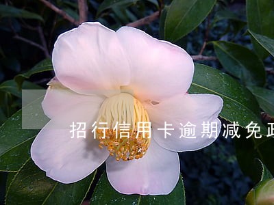 招行信用卡逾期减免政策 招行信用卡逾期减免政策