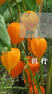 招行信用卡逾期减息 招行信用卡逾期减息