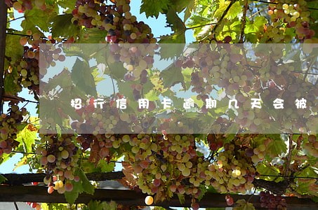 招行信用卡逾期几天会被冻结