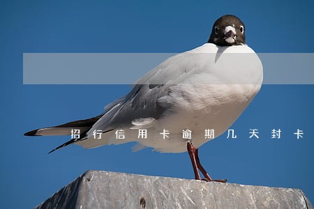 招行信用卡逾期几天封卡