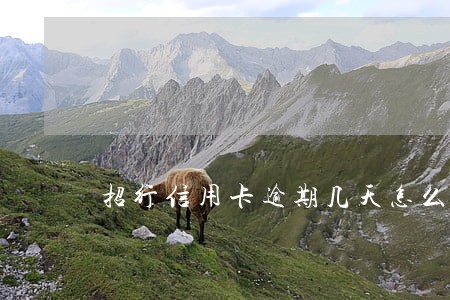 招行信用卡逾期几天怎么办