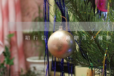 招行信用卡逾期几天被停用 招行信用卡逾期几天被停用