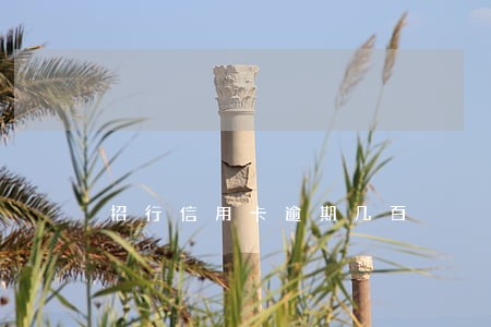 招行信用卡逾期几百 招行信用卡逾期几百