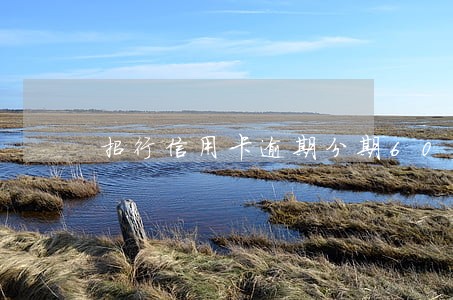 招行信用卡逾期分期60期 招行信用卡逾期分期60期