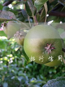 招行信用卡逾期刑拘 招行信用卡逾期刑拘