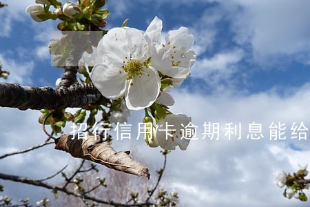 招行信用卡逾期利息能给免吗