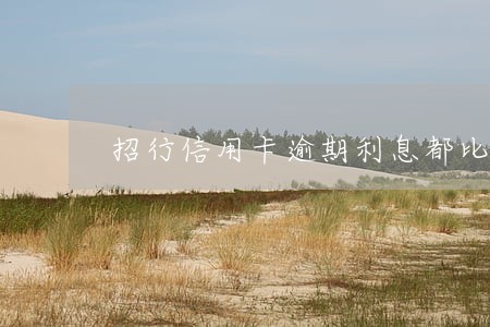 招行信用卡逾期利息都比本金多 招行信用卡逾期利息都比本金多