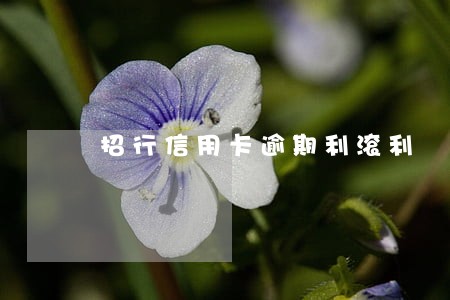 招行信用卡逾期利滚利 招行信用卡逾期利滚利