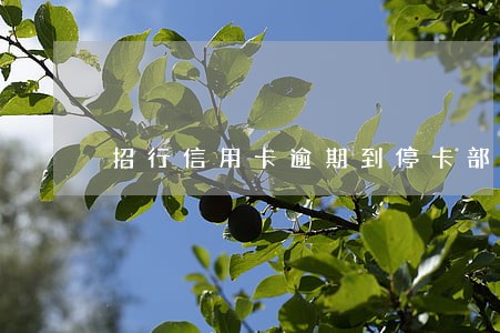 招行信用卡逾期到停卡部门了 招行信用卡逾期到停卡部门了