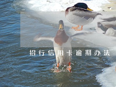 招行信用卡逾期办法 招行信用卡逾期办法