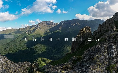 招行信用卡逾期十二万