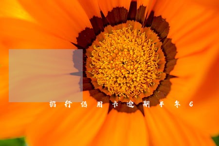 招行信用卡逾期半年6