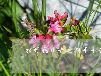 招行信用卡逾期半年会拘留吗 招行信用卡逾期半年会拘留吗