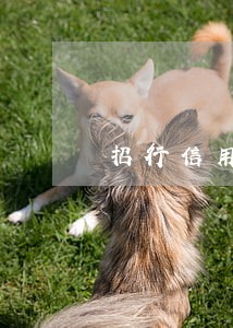 招行信用卡逾期半年要坐牢吗