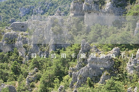 招行信用卡逾期协商不上征信 招行信用卡逾期协商不上征信