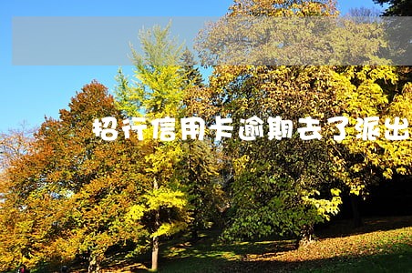 招行信用卡逾期去了派出所 招行信用卡逾期去了派出所