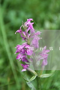 招行信用卡逾期发短信说停卡审核 招行信用卡逾期发短信说停卡审核