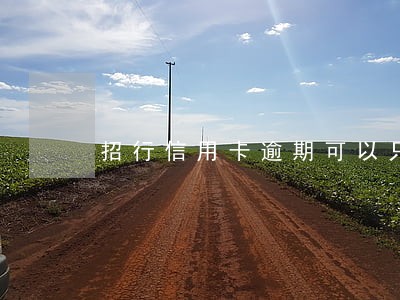 招行信用卡逾期可以只还本金吗 招行信用卡逾期可以只还本金吗