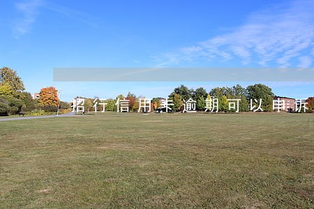 招行信用卡逾期可以申诉吗 招行信用卡逾期可以申诉吗