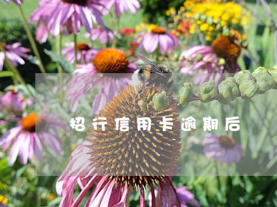 招行信用卡逾期后