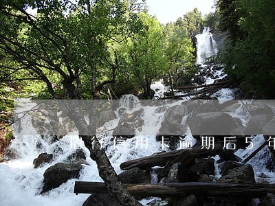 招行信用卡逾期后5年还能办理吗 招行信用卡逾期后5年还能办理吗