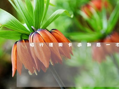 招行信用卡逾期后一次性结清 招行信用卡逾期后一次性结清