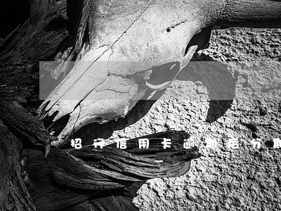招行信用卡逾期后分期