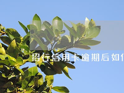 招行信用卡逾期后如何和银行沟通 招行信用卡逾期后如何和银行沟通