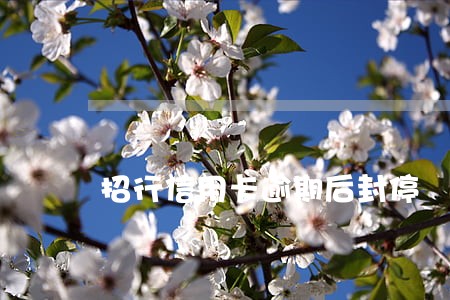 招行信用卡逾期后封停 招行信用卡逾期后封停