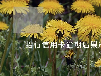招行信用卡逾期后果严重 招行信用卡逾期后果严重