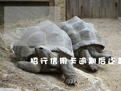 招行信用卡逾期后还款日