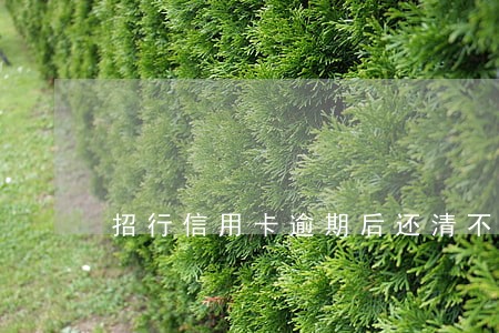 招行信用卡逾期后还清不能用卡了