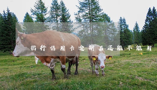 招行信用卡逾期后还能不能用