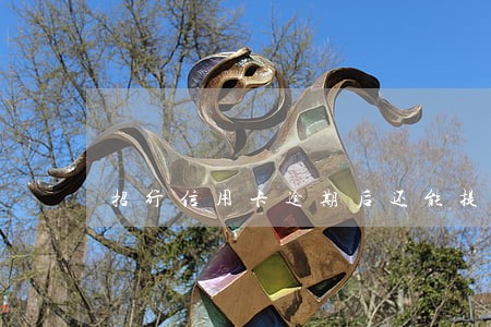招行信用卡逾期后还能提额吗 招行信用卡逾期后还能提额吗