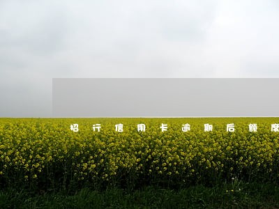 招行信用卡逾期后额度提升了 招行信用卡逾期后额度提升了
