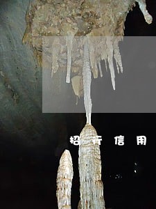 招行信用卡逾期咨询